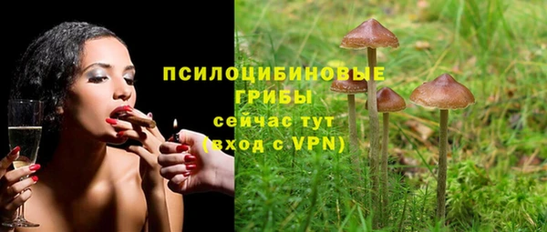 apvp Баксан