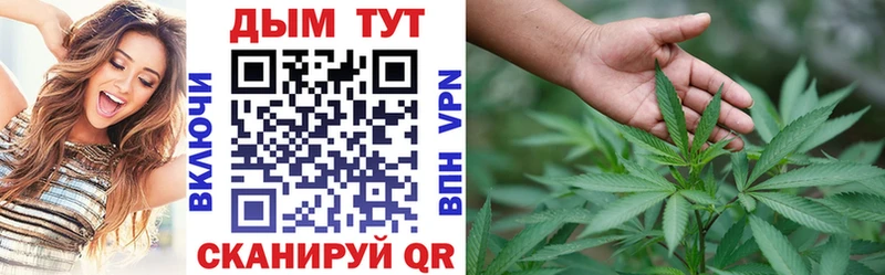 закладка Котельниково Шишки марихуана гибрид